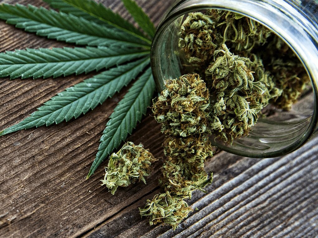 découvrez les risques liés au cbd lors d'un test salivaire et les précautions à prendre pour éviter tout problème.