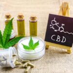 découvrez comment choisir un produit cbd adapté et sûr, sans risque positif au test de dopage. conseils et informations pour sportifs.