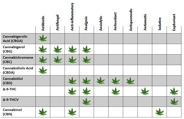 découvrez comment choisir un cbd fiable et sécurisé en tenant compte des tests de dopage pour éviter toute trace de substances interdites.