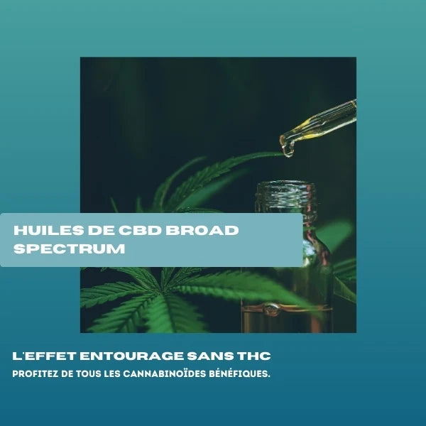 découvrez l'évolution des connaissances des forces de l'ordre en 2025 concernant le cbd sans thc, ses usages légaux et son impact sur la sécurité publique.