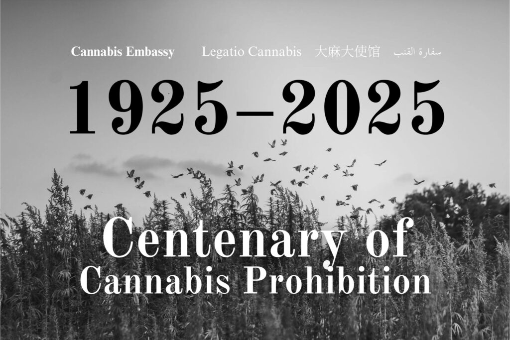 découvrez en 2025 les connaissances et perceptions des forces de l'ordre concernant le cbd sans thc, ses usages légaux et ses implications.