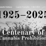 découvrez en 2025 les connaissances et perceptions des forces de l'ordre concernant le cbd sans thc, ses usages légaux et ses implications.