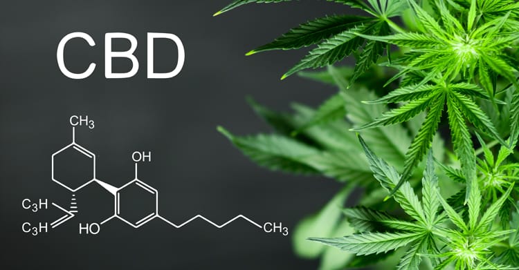 découvrez tout sur le cbd avec taux zéro de thc : ses bienfaits pour la santé, son usage légal et comment profiter pleinement de ses effets sans effets psychoactifs.
