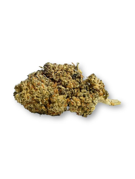 découvrez nos conseils de sécurité pour conduire avec du cbd sans thc en toute légalité et sérénité.