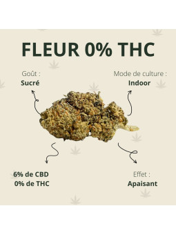 découvrez les bienfaits et usages de la fleur de cbd puissante sans thc, une solution naturelle pour la détente, le soulagement et le bien-être au quotidien.