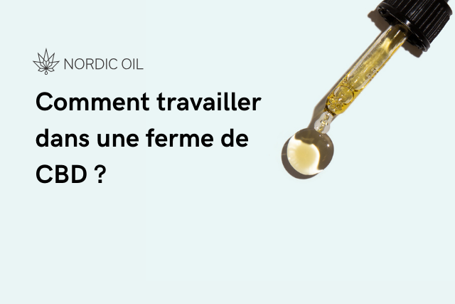 découvrez comment assurer la sécurité au travail dans le secteur du cbd, en respectant les réglementations et en garantissant un environnement sain pour tous les employés.