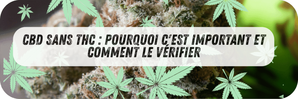 découvrez l'effet des fleurs de cbd sans thc : bienfaits apaisants, détente naturelle et bien-être sans effets psychoactifs.