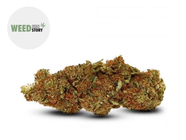 découvrez l'effet des fleurs de cbd sans thc, une alternative naturelle pour profiter des bienfaits du cannabis sans les effets psychoactifs.