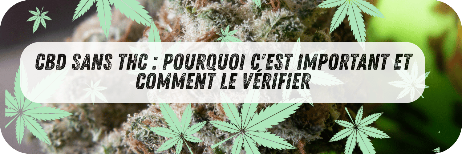 découvrez l'effet des fleurs de cbd sans thc : bienfaits apaisants, détente naturelle et bien-être sans effets psychoactifs.