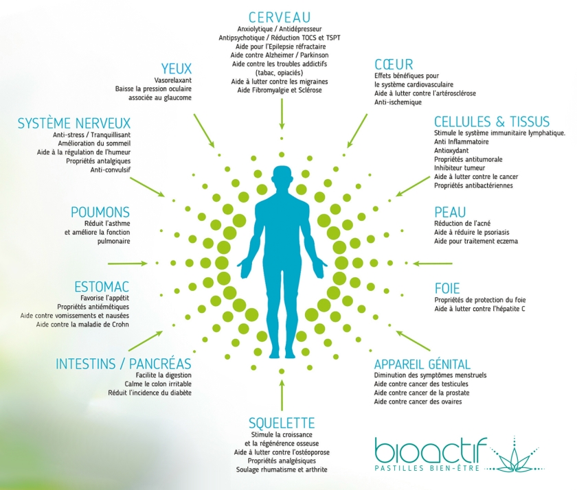 découvrez les avantages des fleurs de cbd bio : bienfaits naturels, qualité supérieure et bien-être garanti grâce à des produits cultivés sans pesticides.