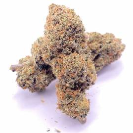 découvrez notre sélection de fleurs de cbd sans thc en suisse, garanties naturelles et légales pour une relaxation optimale sans effets psychoactifs.