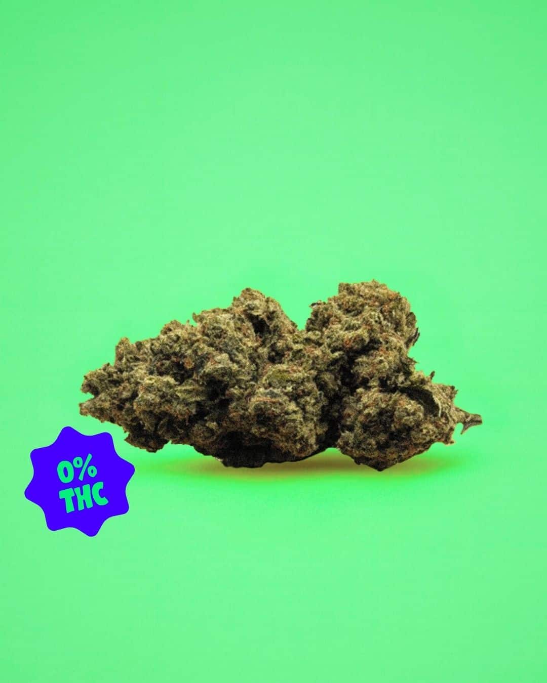 découvrez notre sélection de fleurs de cbd sans thc en suisse, garantissant qualité et bien-être naturel dans le respect de la législation locale.