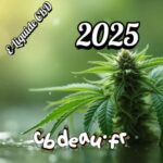 découvrez les bienfaits et les usages du hash cbd sans thc en 2025, une alternative naturelle pour profiter des effets relaxants sans effets psychoactifs.