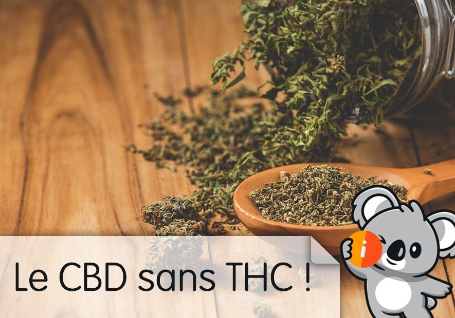 découvrez les bienfaits et les usages du hash cbd sans thc en 2025, une alternative naturelle pour votre bien-être sans effets psychoactifs.