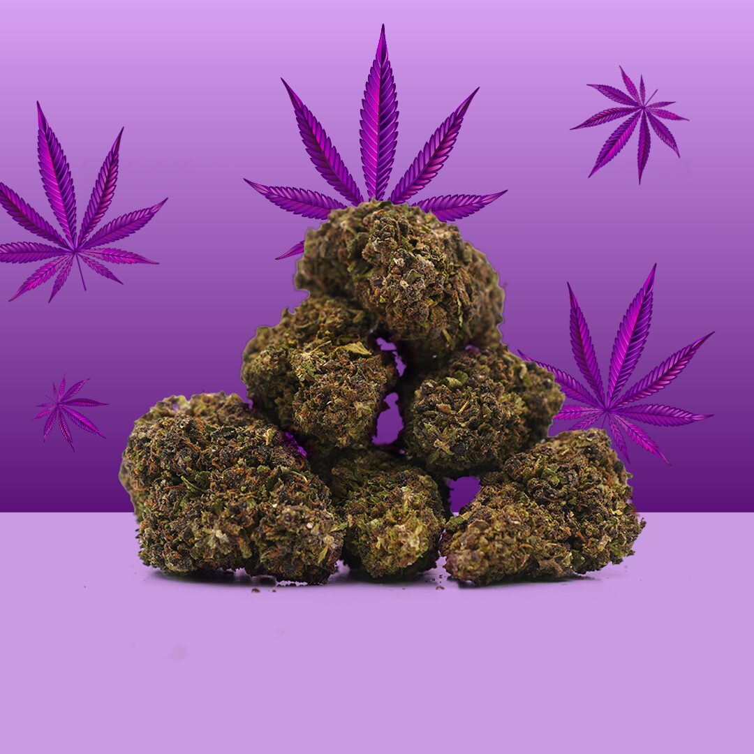 découvrez les bienfaits et les usages du hash cbd sans thc en 2025. profitez d'une expérience relaxante sans effets psychoactifs grâce à notre guide complet.