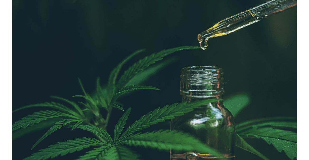 découvrez les avantages et usages de l'isolat de cbd sans thc, un produit pur offrant relaxation, bien-être et sans effets psychoactifs.