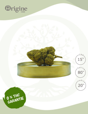 découvrez les bienfaits du trim cbd sans thc et comment l'intégrer facilement dans votre routine quotidienne pour profiter d'un bien-être naturel sans effets psychotropes.