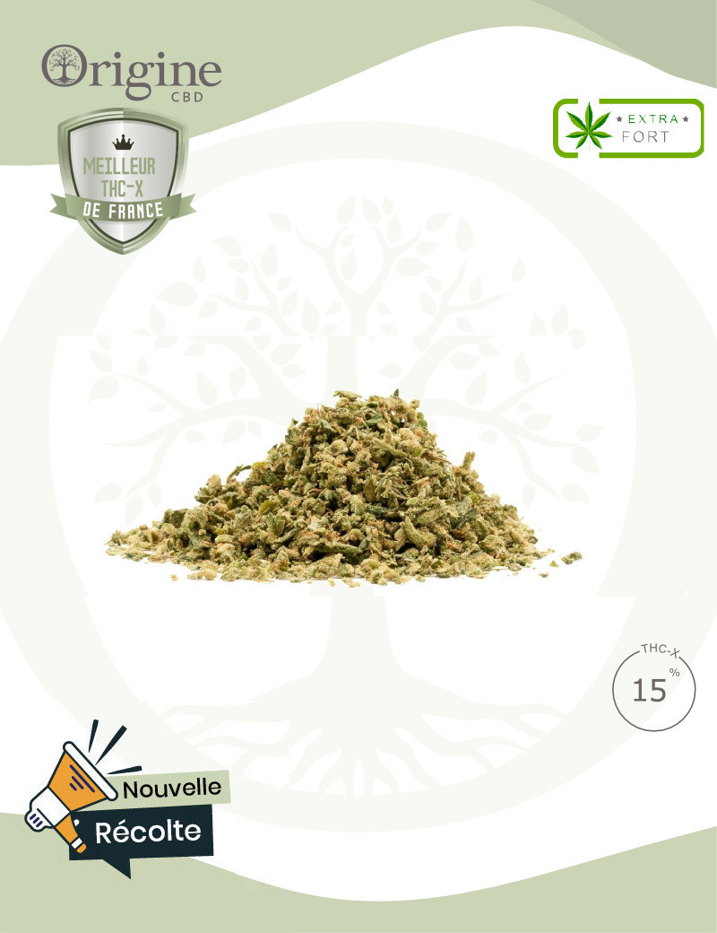 découvrez les bienfaits du trim cbd sans thc et apprenez comment l'intégrer facilement dans votre routine quotidienne pour un bien-être naturel et sans effets psychoactifs.