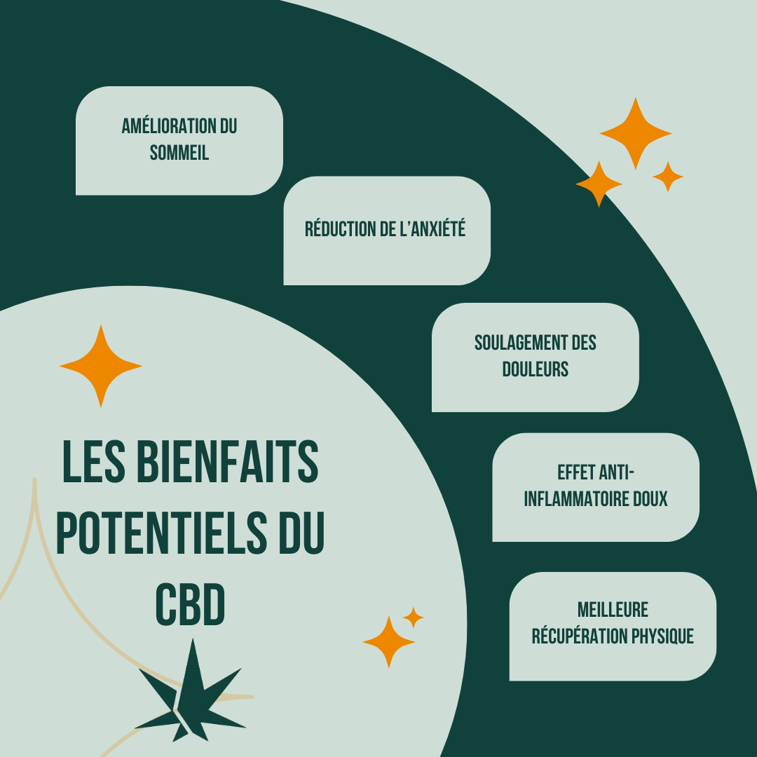 découvrez les bienfaits de l'huile cbd bio sans thc et apprenez comment l'utiliser pour améliorer votre bien-être au quotidien de manière naturelle et sans effets psychoactifs.
