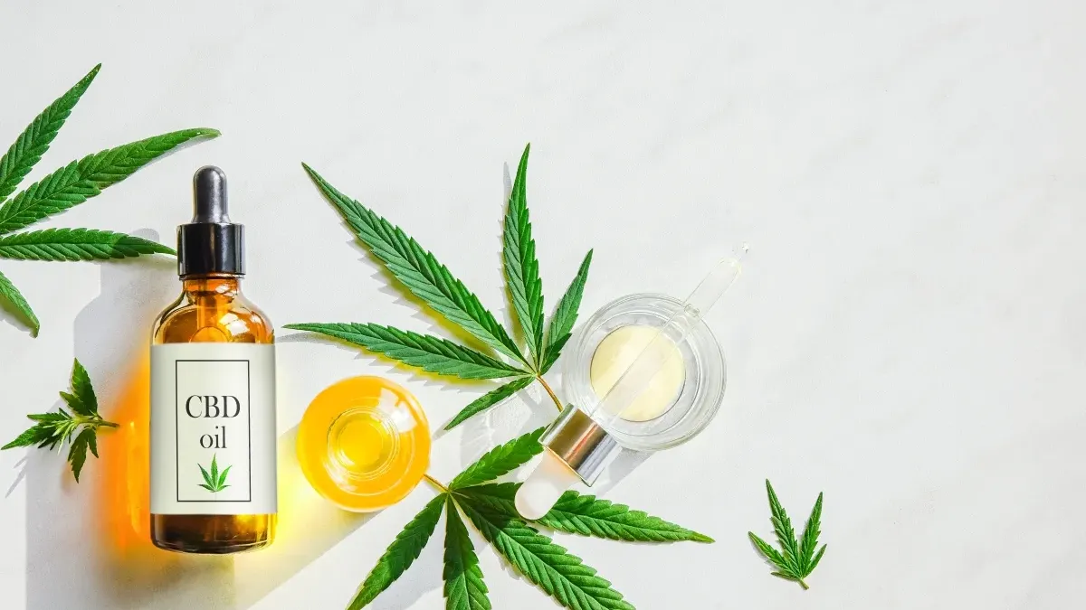 découvrez notre huile cbd sans thc spécialement formulée pour améliorer votre sommeil en 2025. profitez d'un repos naturel et réparateur grâce à nos produits de qualité.
