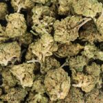 découvrez les prix du fleur cbd en 2025, les tendances du marché, et comment choisir la meilleure qualité au meilleur tarif.