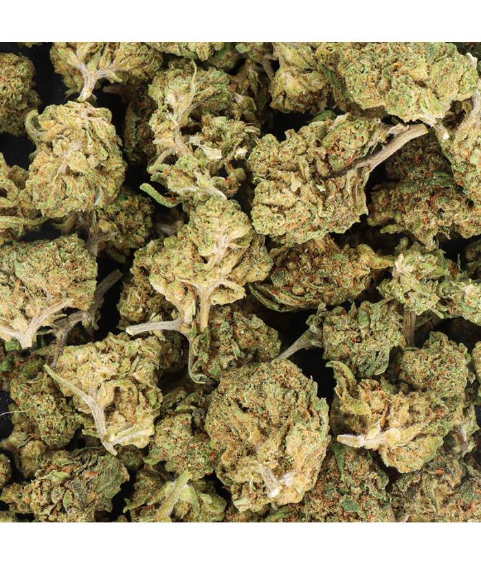 découvrez les prix du fleur cbd en 2025, les tendances du marché, et comment choisir la meilleure qualité au meilleur tarif.