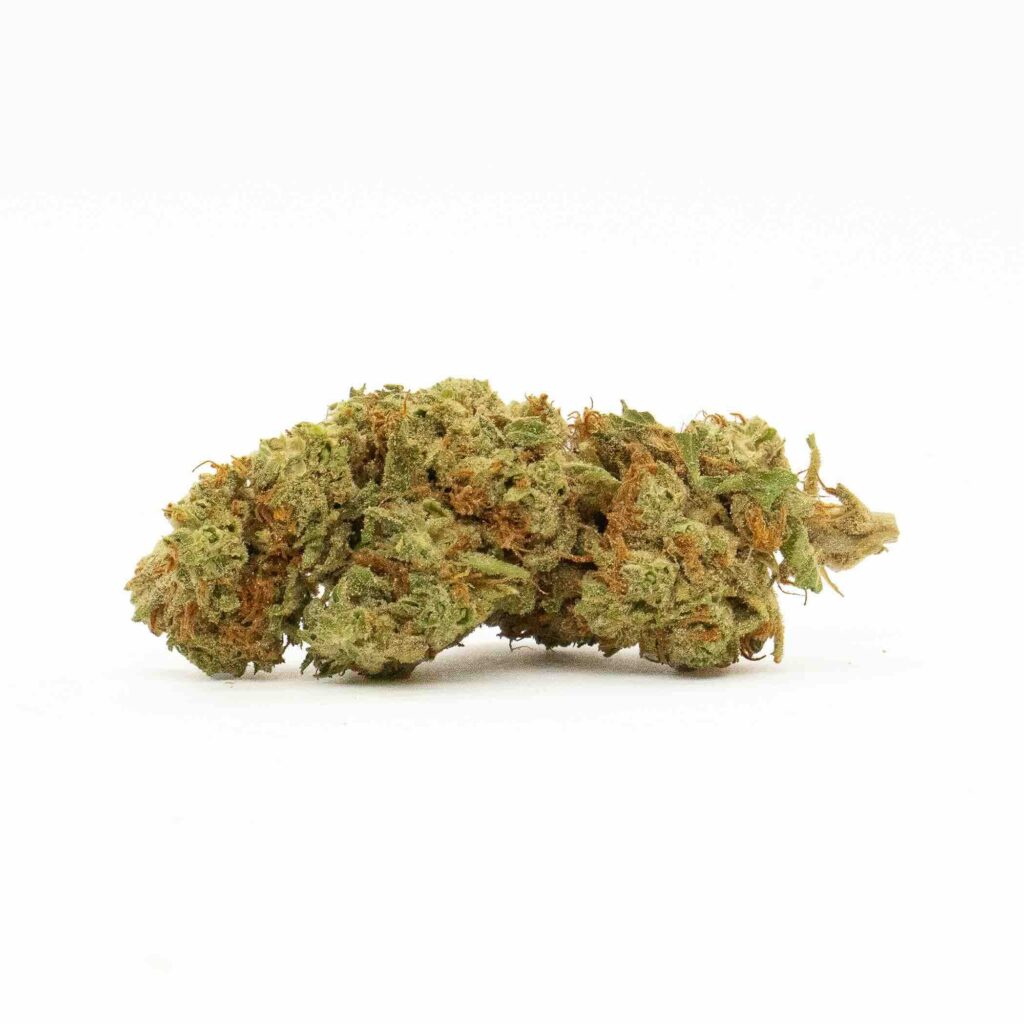 découvrez notre sélection de variétés cbd anciennes sans thc, garanties naturelles et légales, pour un bien-être optimal sans effets psychoactifs.